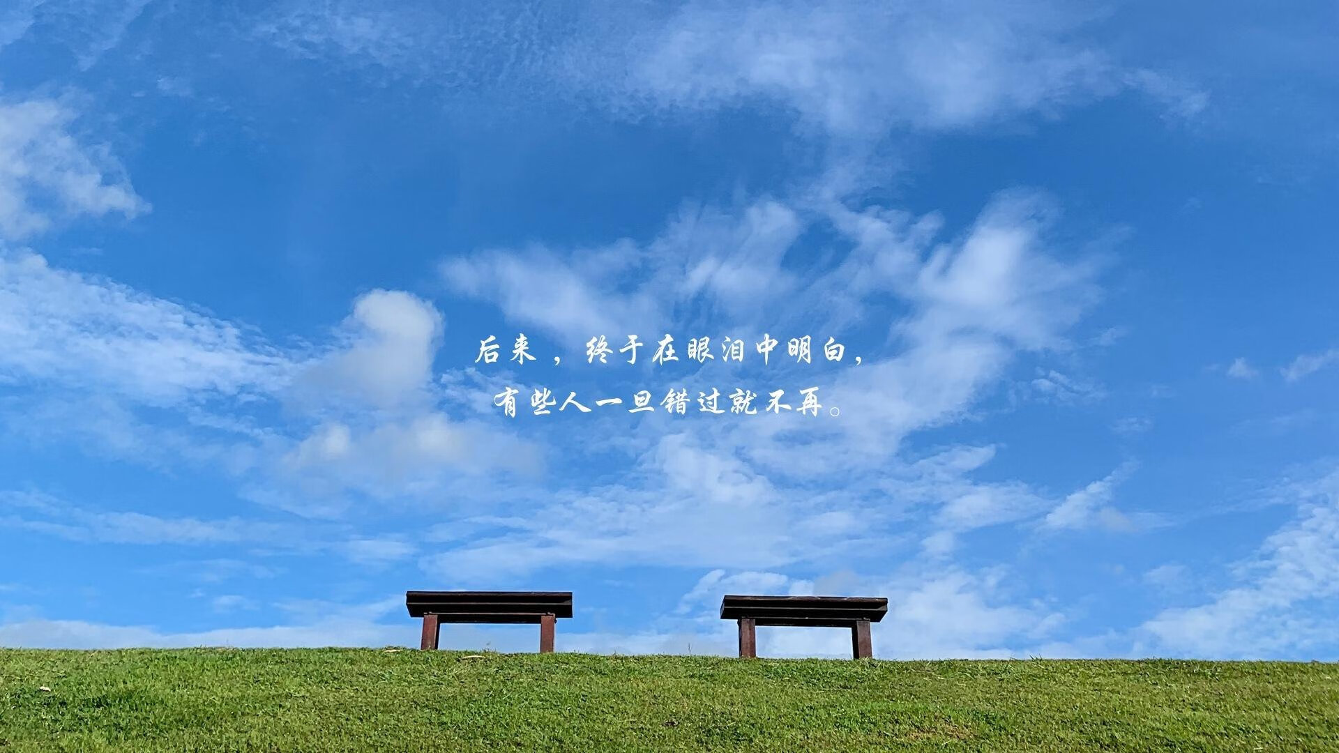 珠海海鲜批发市场价格（珠海海鲜市场价格参考）