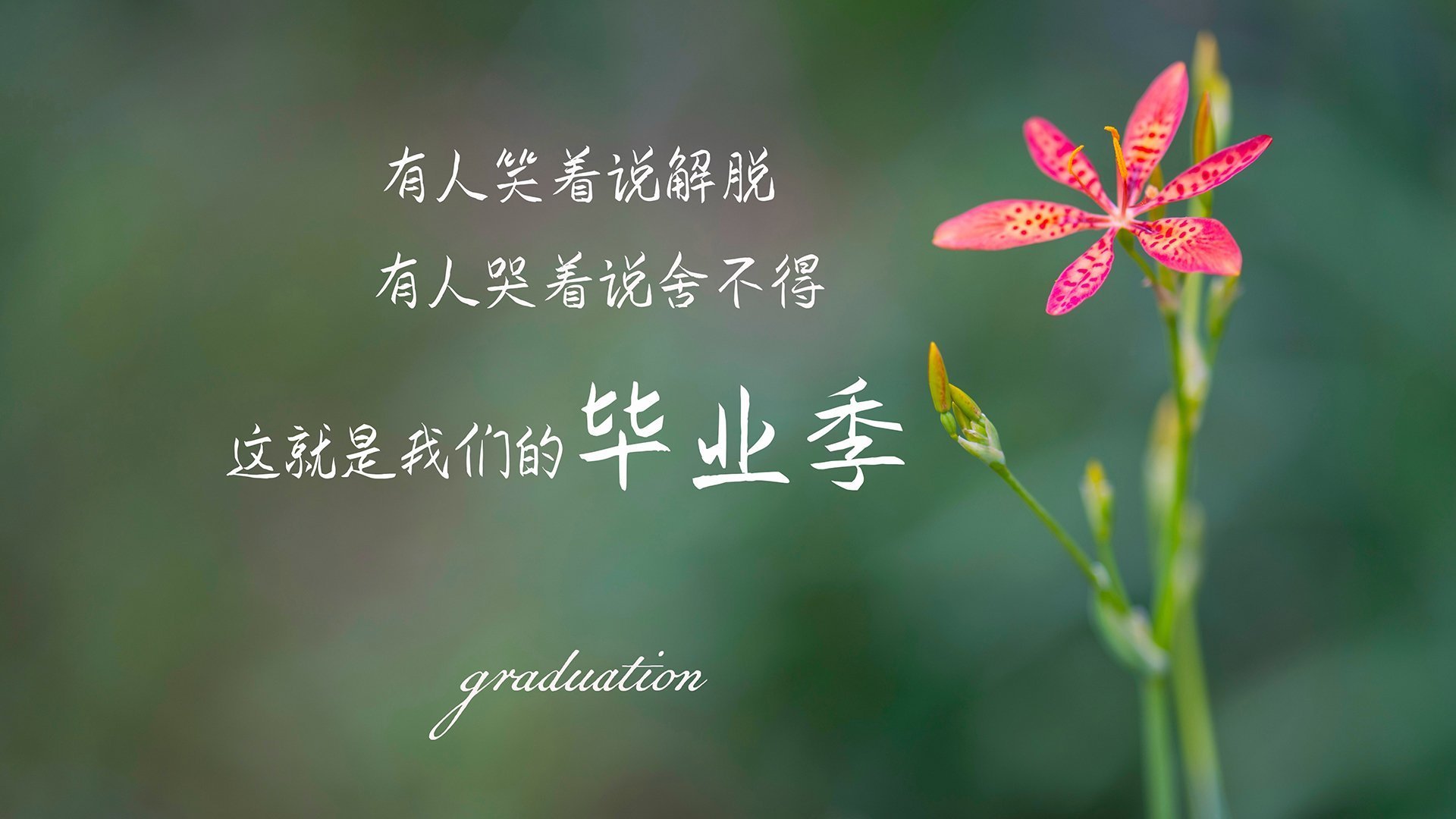 海产品的碘含量高于陆生动植物吗(海产品中碘含量高的有哪些)
