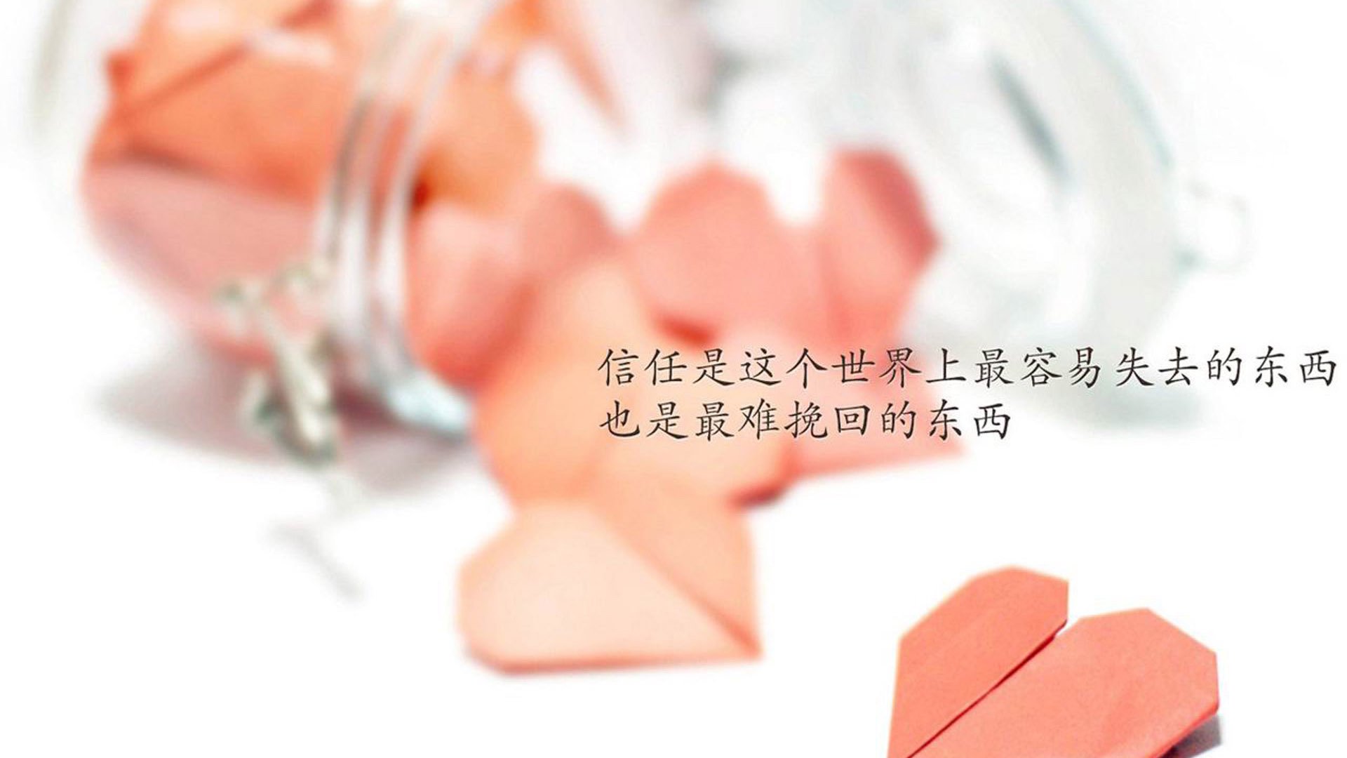 海产品什么东西补钙(什么海产品含钙丰富)